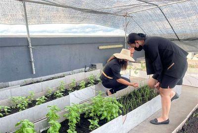 Robinsons Hotels and Resort’s Grand Summit Gensan does Farm-to-Table